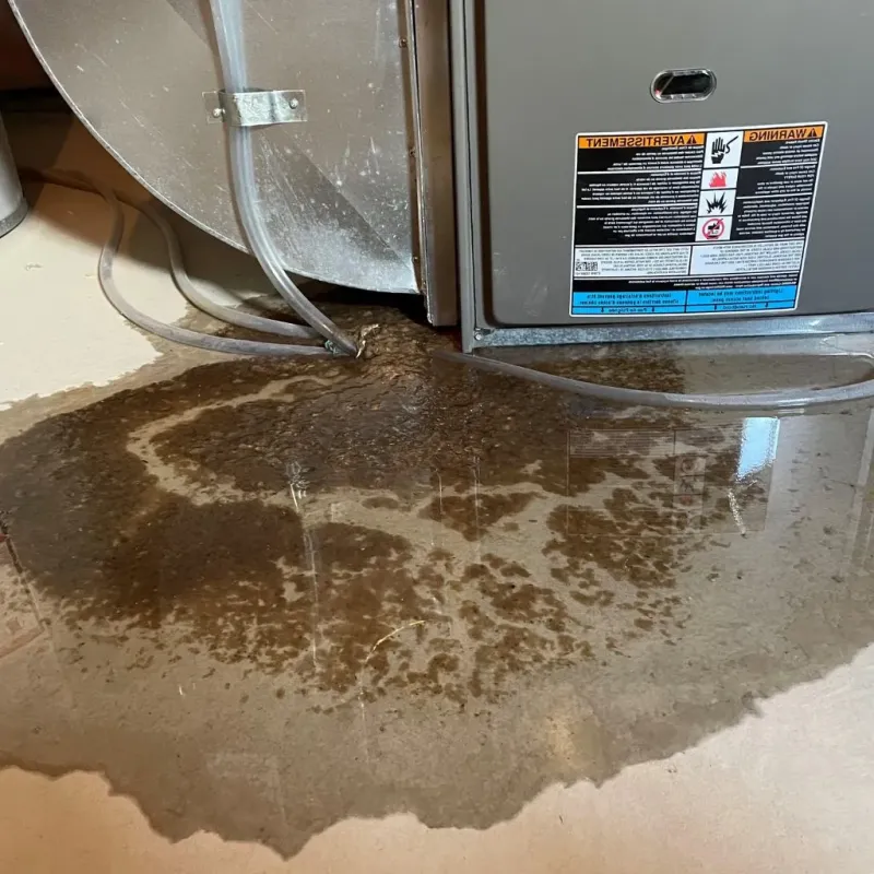 Pipe Burst and Leak Restoration in Oglala, SD